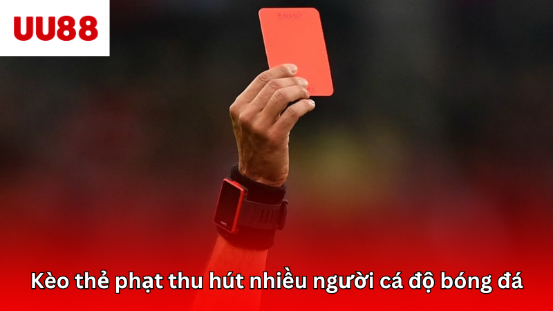 Kèo thẻ phạt thu hút nhiều người cá độ bóng đá