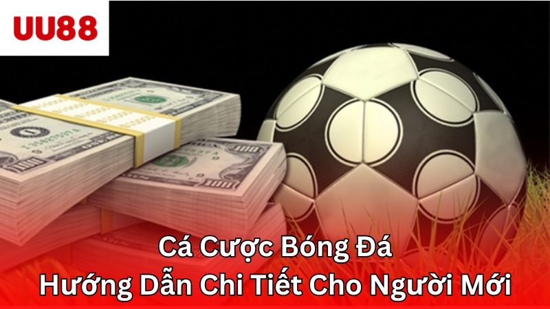 cá cược bóng đá