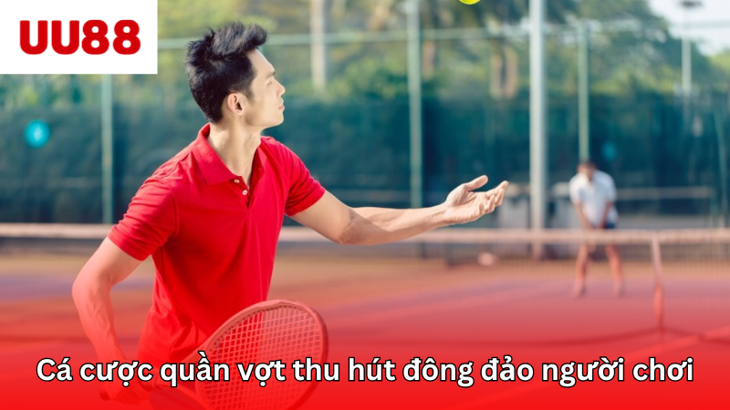 Lý do cá cược quần vợt thu hút nhiều người tham gia